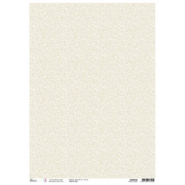 copy of 